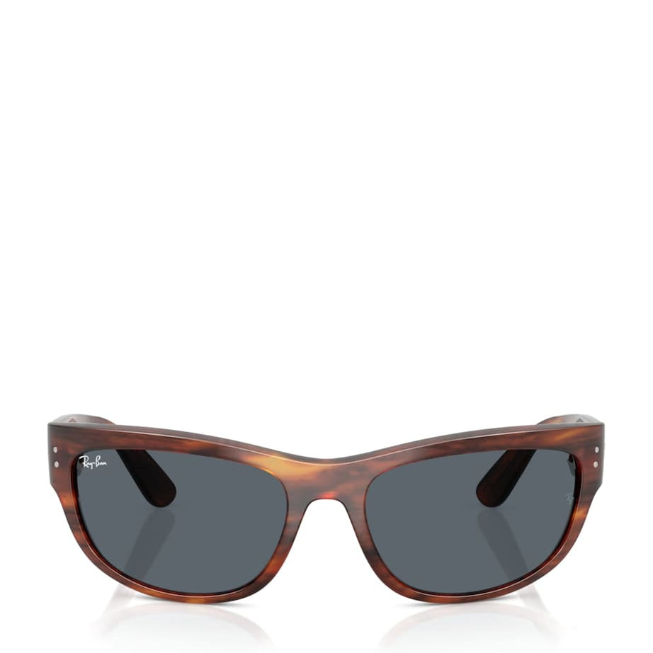 Ray-Ban Brown RB2289 Mega Balorama Sunglasses