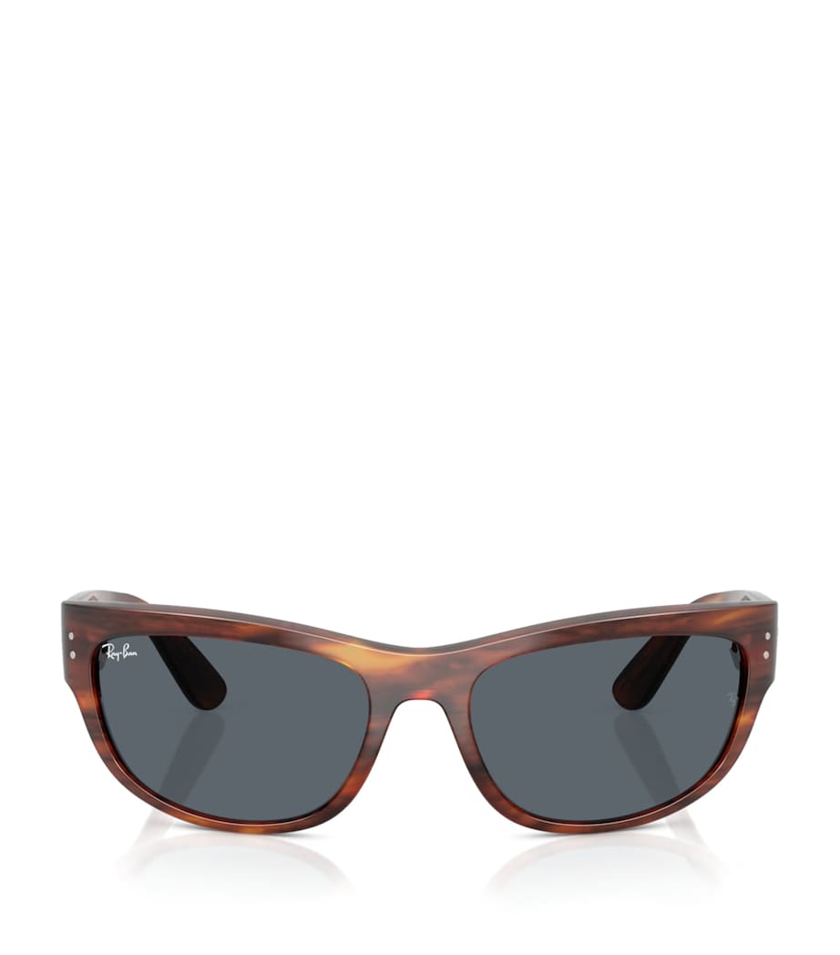Ray-Ban Brown RB2289 Mega Balorama Sunglasses