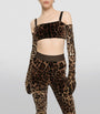 Dolce & Gabbana Multi Velvet Leopard Print Leggings