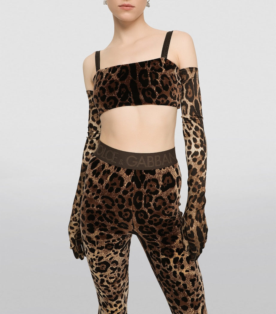 Dolce & Gabbana Multi Velvet Leopard Print Leggings