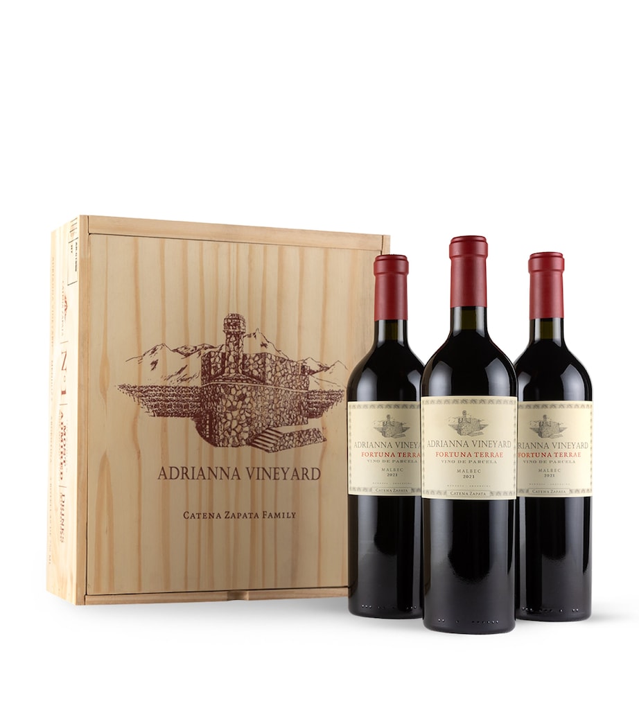 Catena Adrianna Vineyard Fortuna Terrae Malbec 2021 (75cl) – Mendoza, Argentina