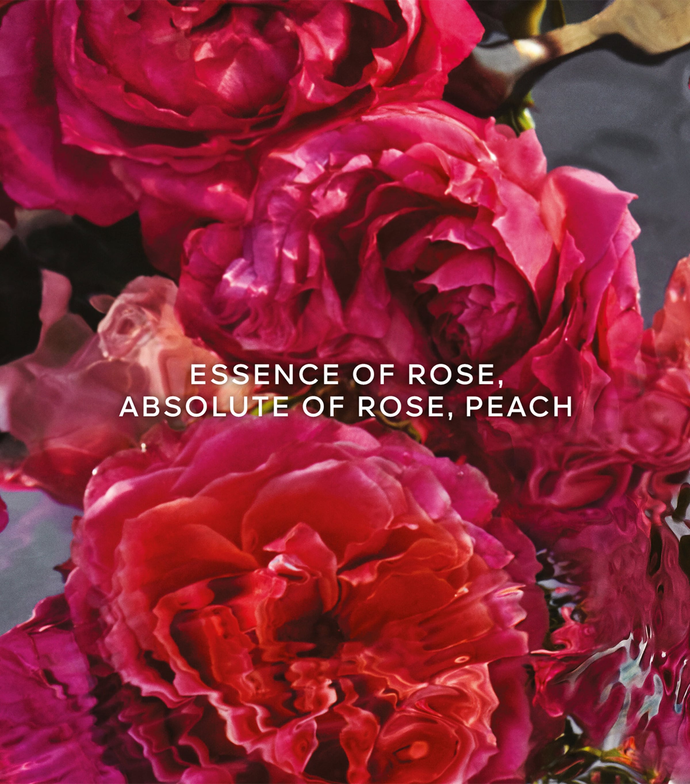 Aqua Allegoria Forte Rosa Rossa Eau de Parfum (75ml)