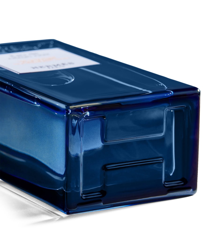 HERMÈS Eau de Citron Noir Hair and Body Shower Gel (200ml)