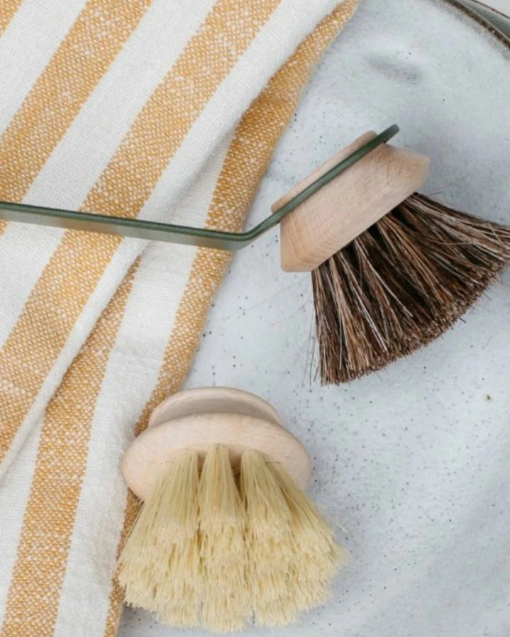 Andrée Jardin - Medium brush head for Super Dishes handle