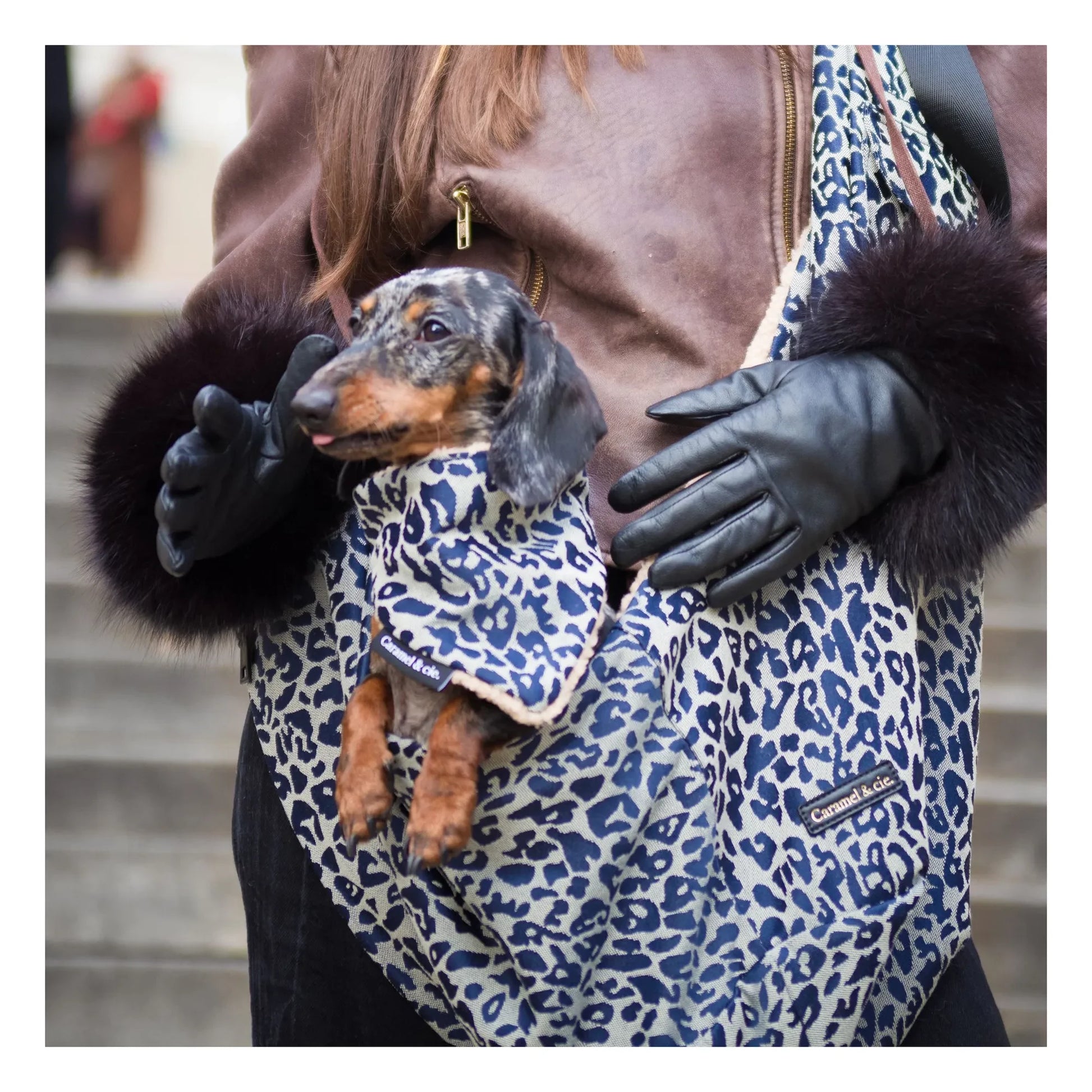 Caramel & Cie - Leopard Dog Bandana | Grey