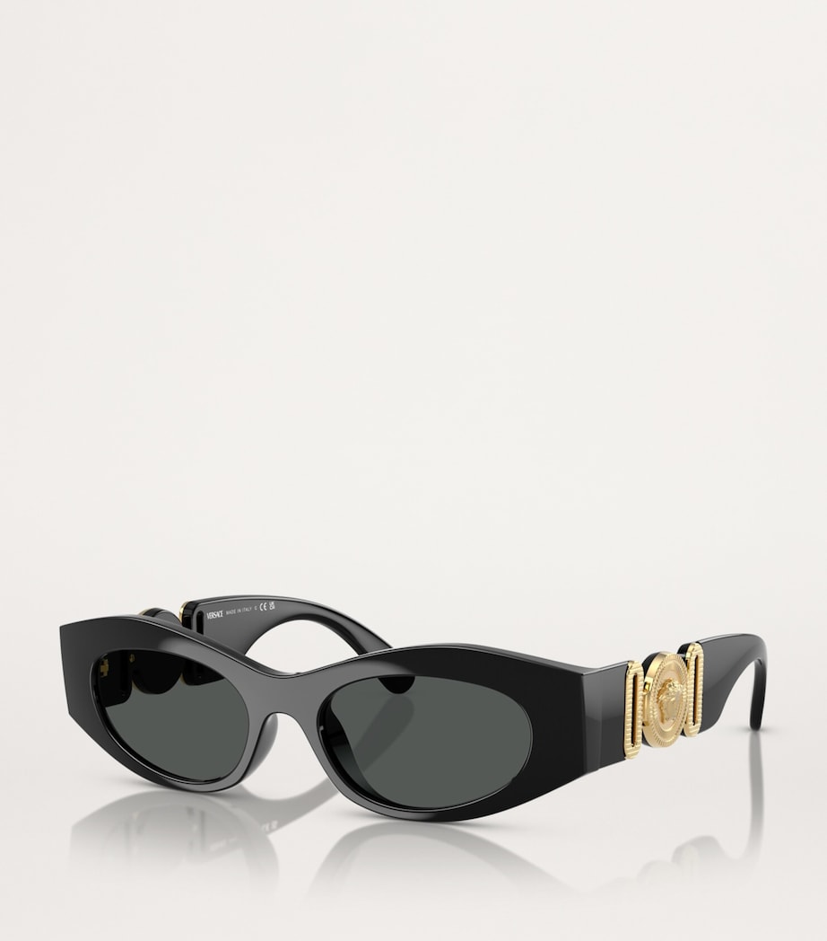 Black Acetate Oval Sunglasses