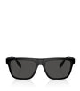 Injected 0BE4402U Sunglasses