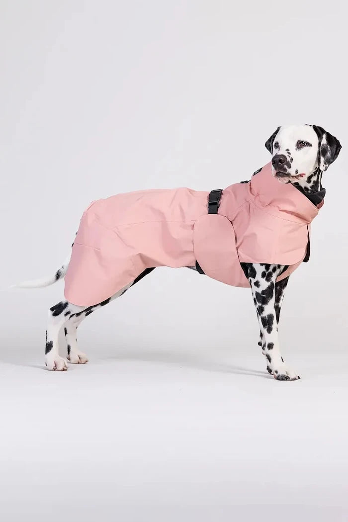 Кучешки дъждобран PAIKKA Visibility Raincoat 56 x 45 x 0,9 cm