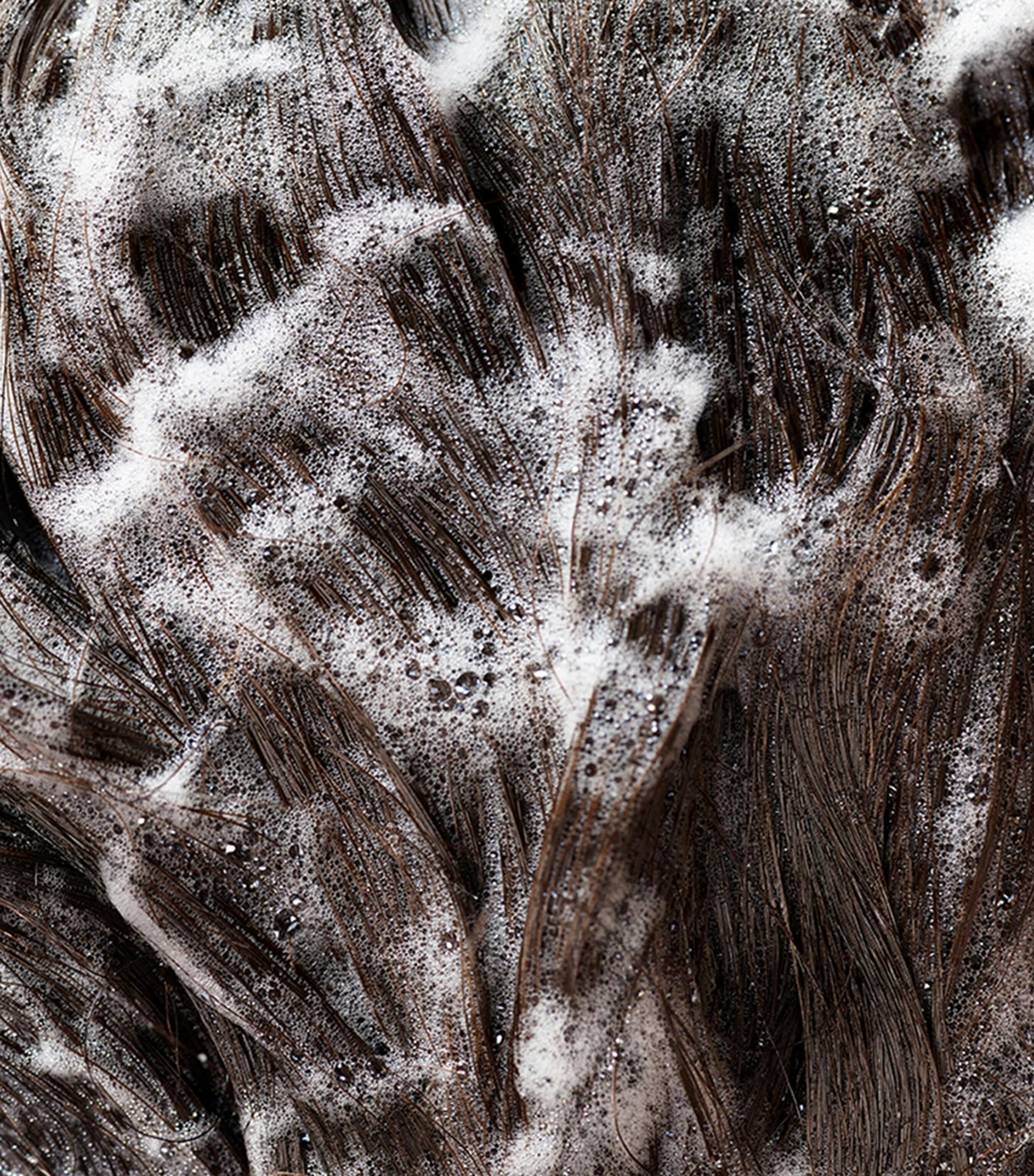 Signature Travel Size Shampoo (75ml)