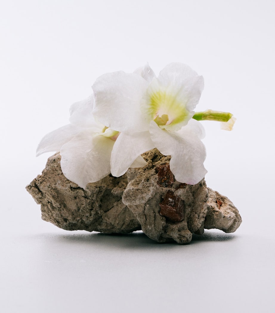 LOEWE Aire Eau de Toilette (100ml)