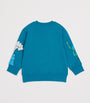 Cotton Graphic Sweatshirt (3-14 Years)