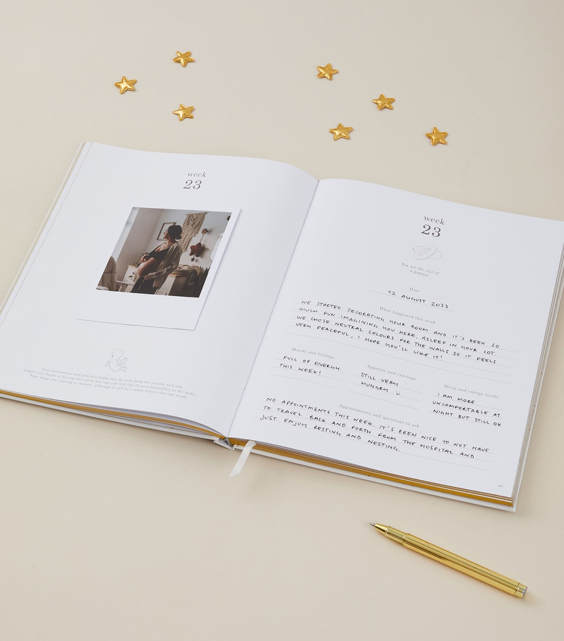 Blush and Gold My Pregnancy Journal