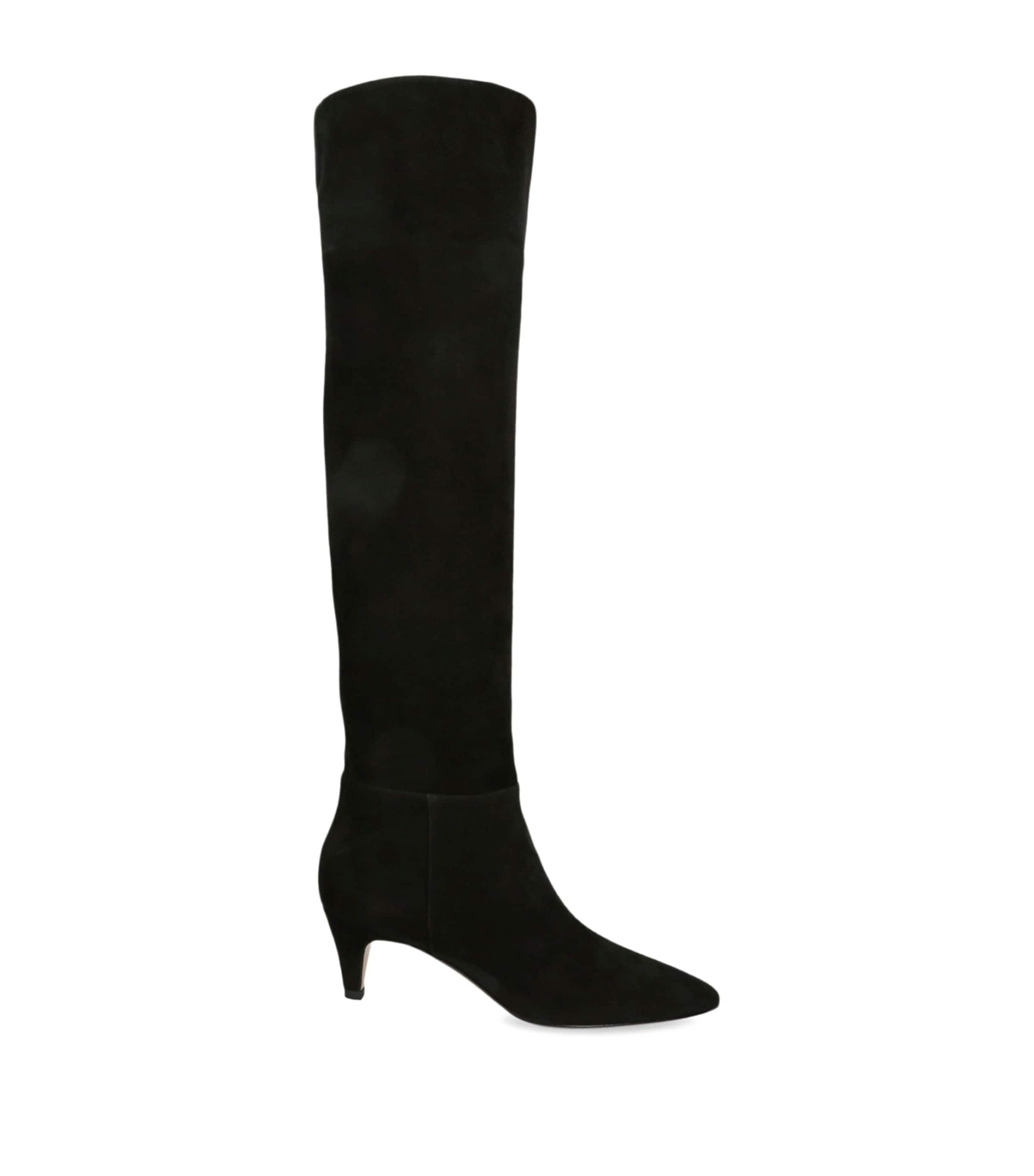 Gianvito Rossi Black Suede Elise Knee-High Boots 55