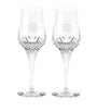Set of 2 Crystal Louis XIII Pillet Glasses (50ml)