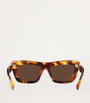 Brown Acetate BV1283S Sunglasses