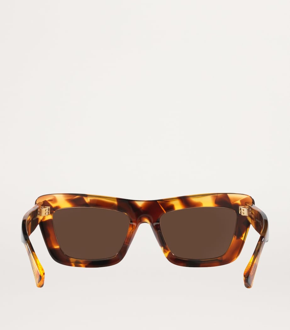 Brown Acetate BV1283S Sunglasses
