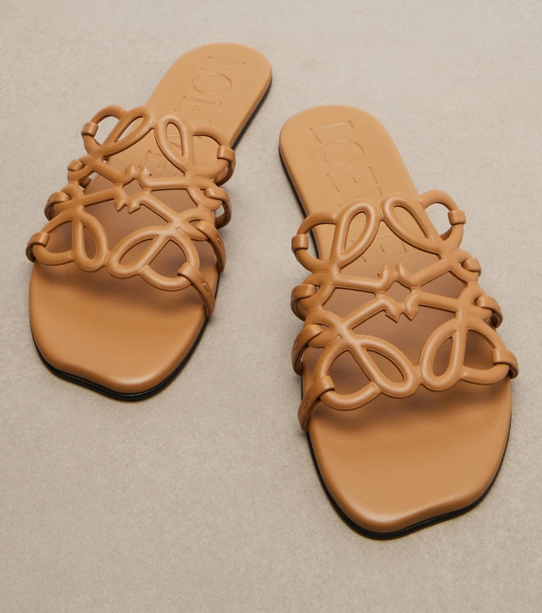 Loewe - Paula's Ibiza Petal Anagram leather slides