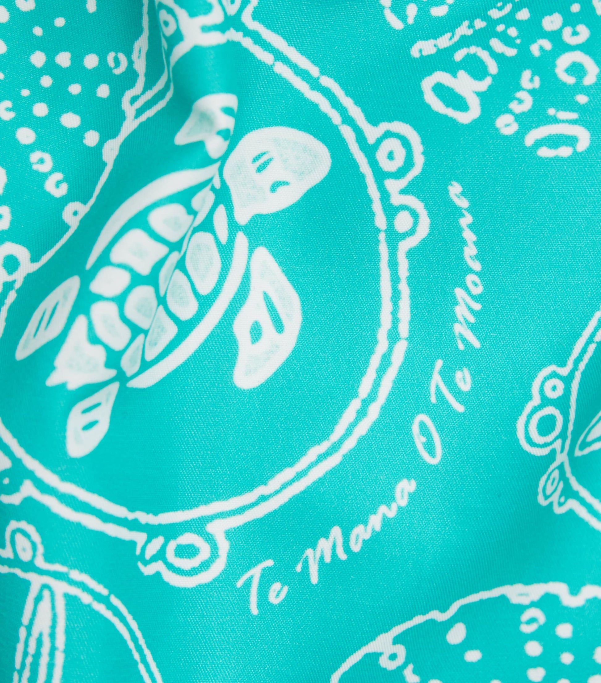 Turtle Print Moorea Swim Shorts