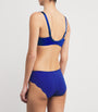 Fantasie Blue Lace Ana Briefs