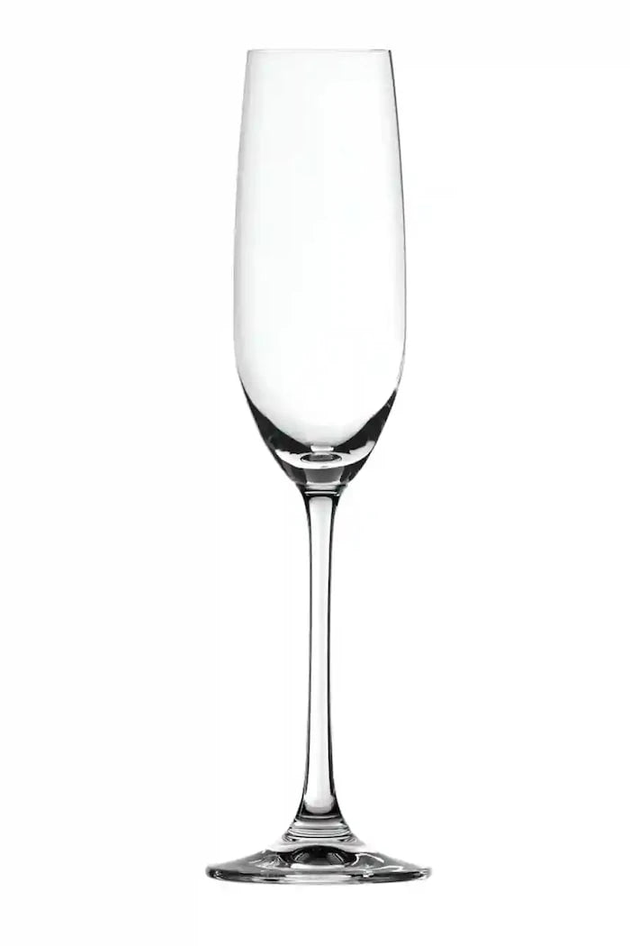 Spiegelau Salute Champagne 210 ml Şampanya Kadehi Seti (4 Parça)