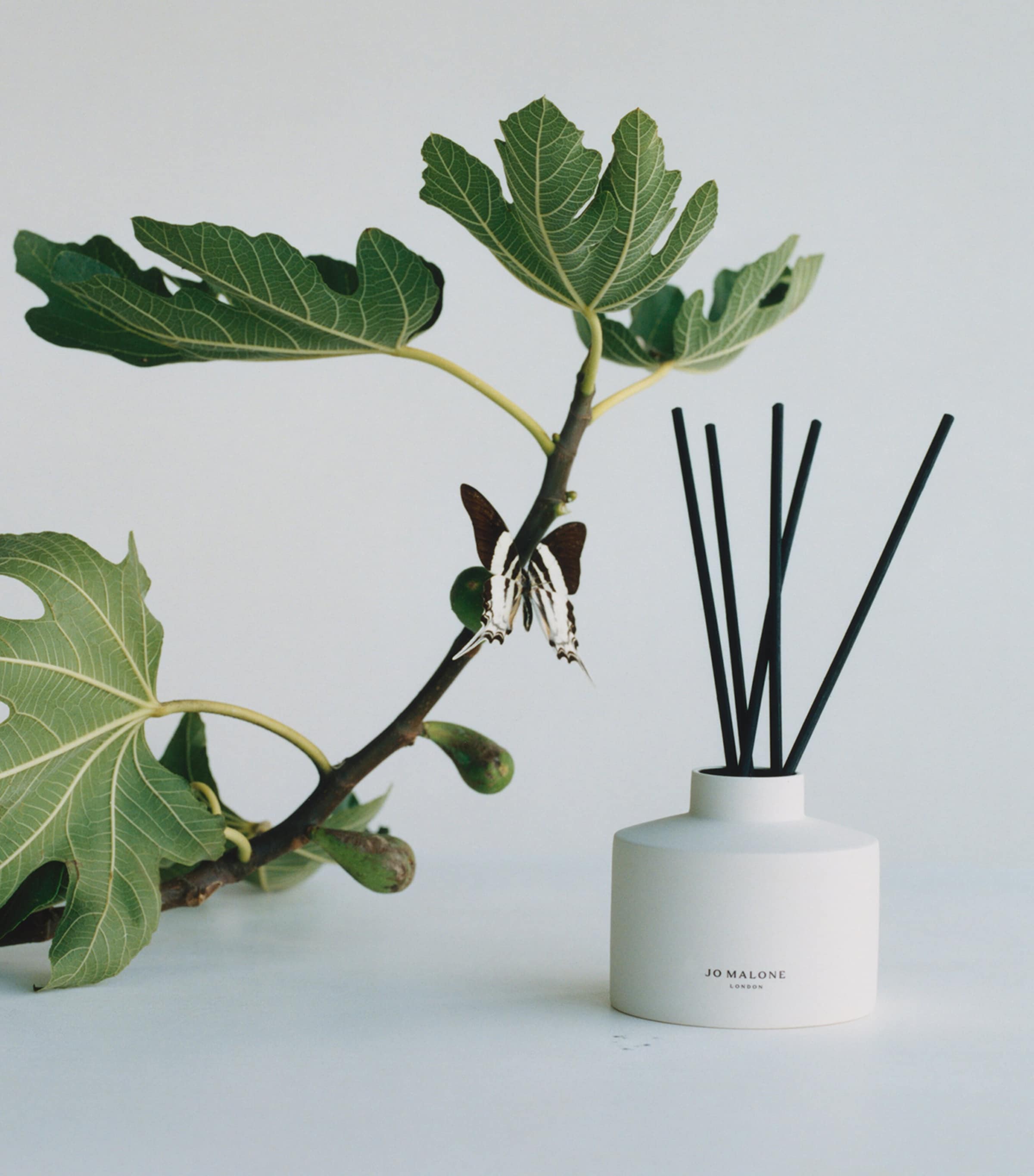 Fresh Fig & Cassis Diffuser and Refill (350ml)