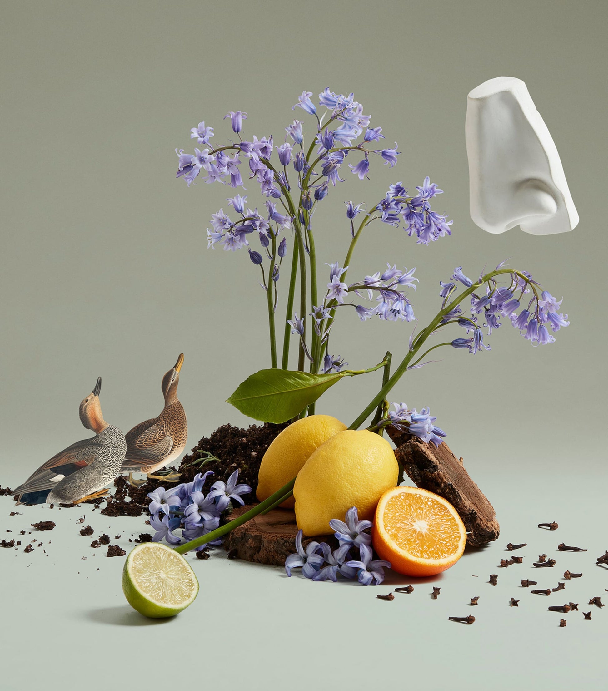 Bluebell Eau de Toilette (100ml)