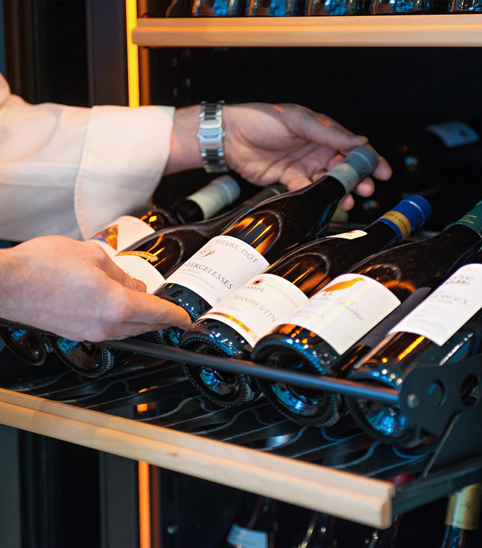 Large 3-Temperature Pure Wine Cabinet