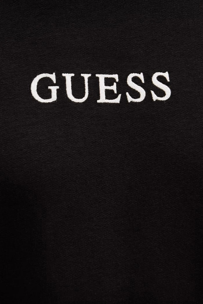 Guess erkek pamuklu tişört BRIAN