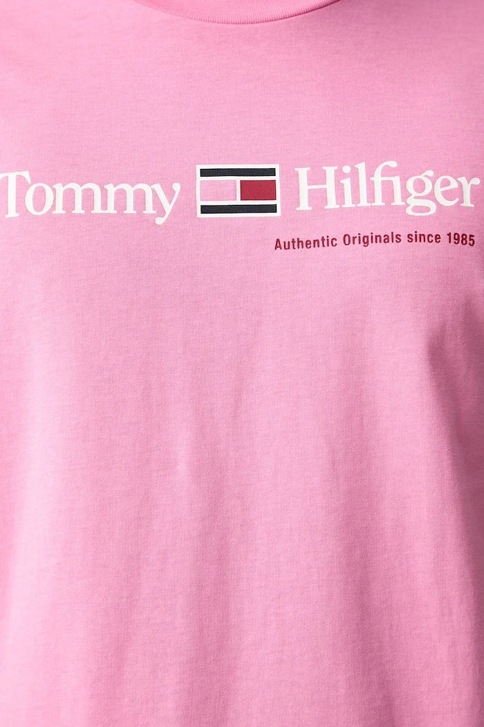 Tommy Hilfiger pamuklu erkek tişört