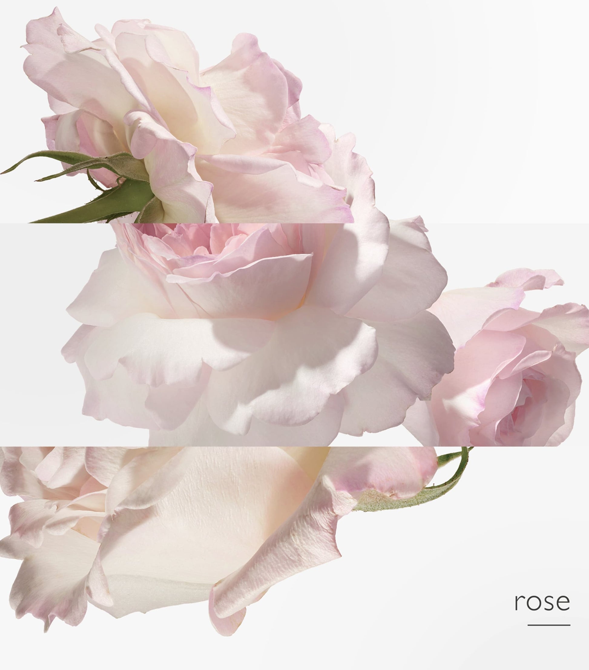 HERMÈS Twilly d'Hermès Eau Poivrée Eau de Parfum (85ml)