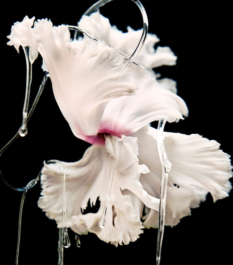 Blanche Absolu de Parfum (100ml)