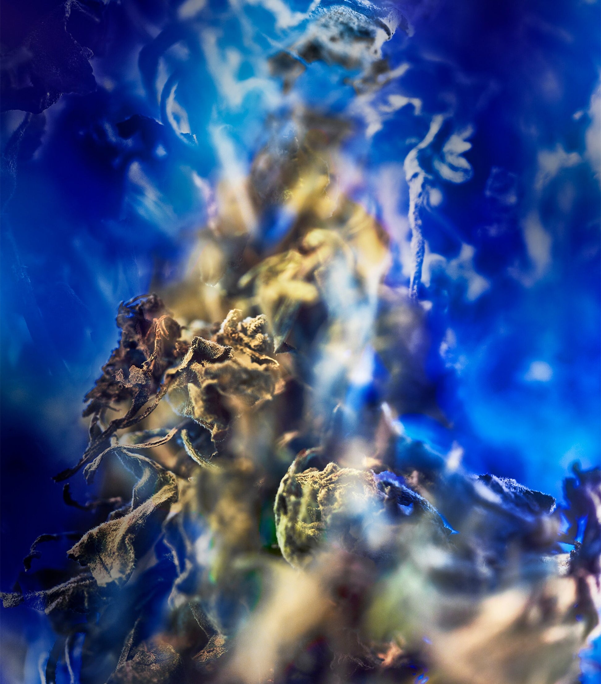 Le Gemme Gyan Eau de Parfum (125ml)