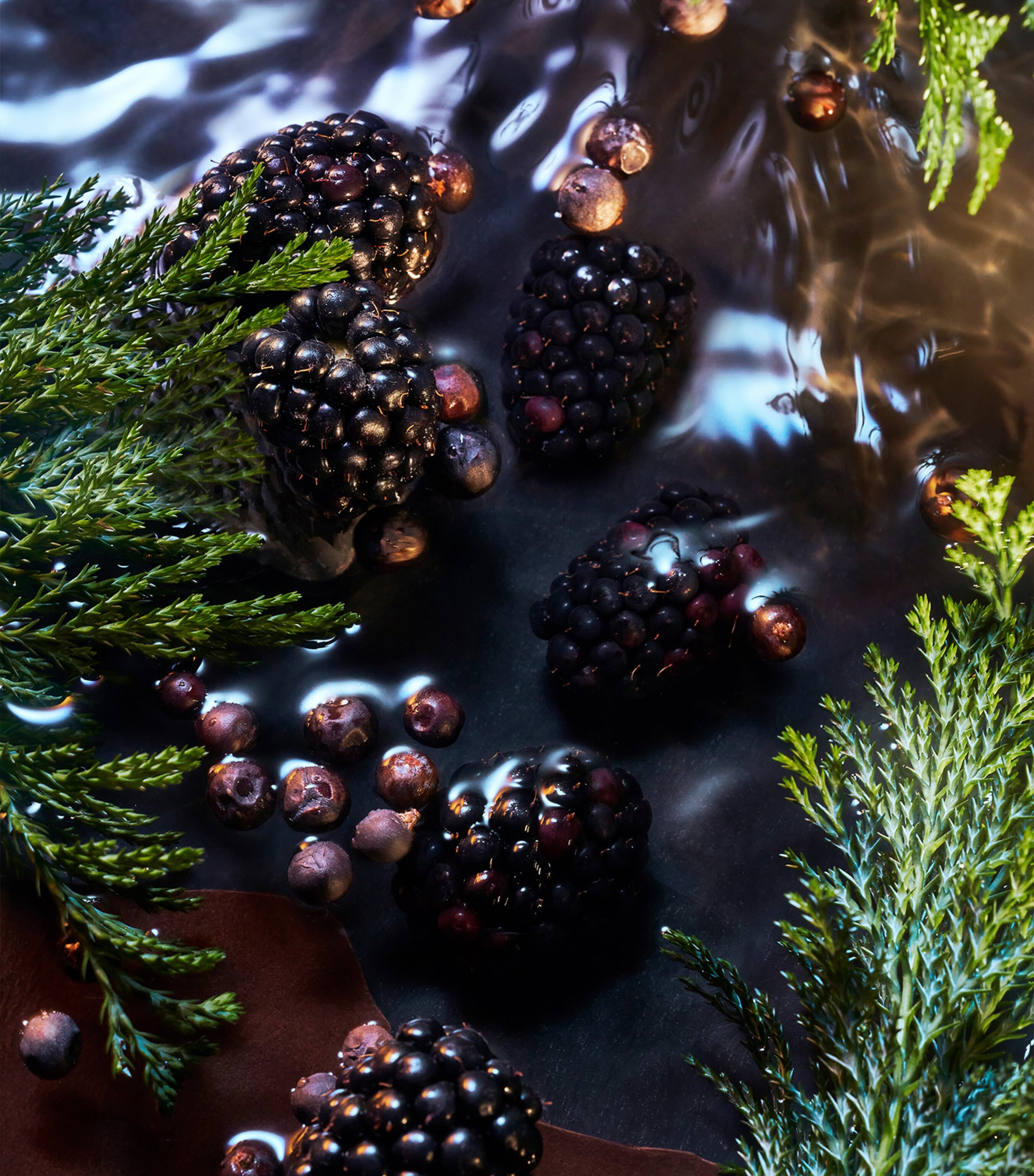 Elysium Noir Eau de Parfum (100ml)