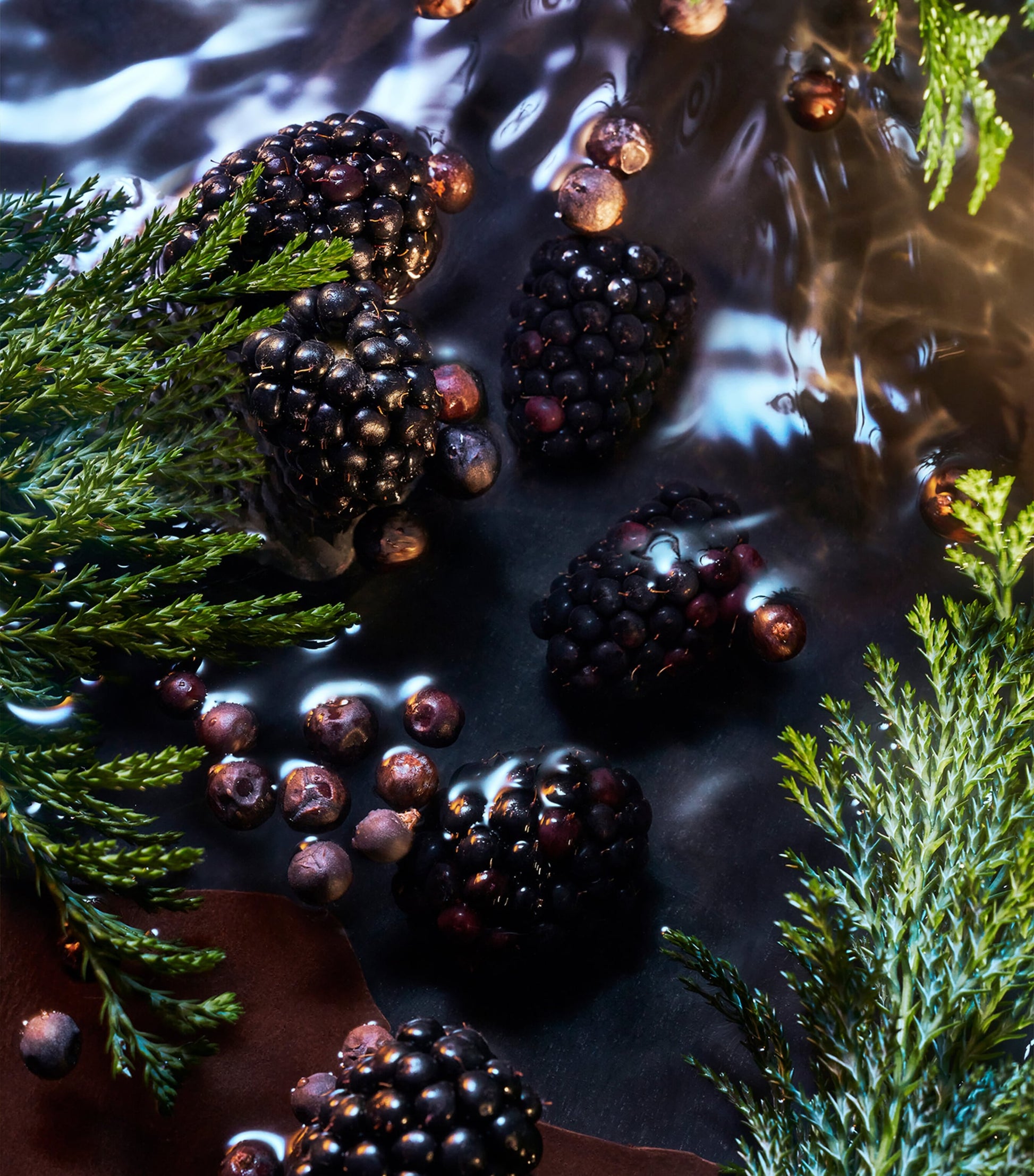 Elysium Noir Eau de Parfum (100ml)