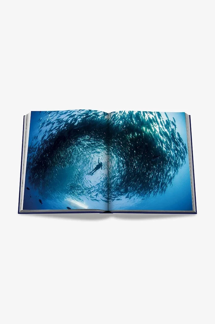 Assouline Ocean Wanderlust by Kevin Koenig, İngilizce