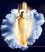 Orchidée Impériale The Fundamental Oil (30ml)