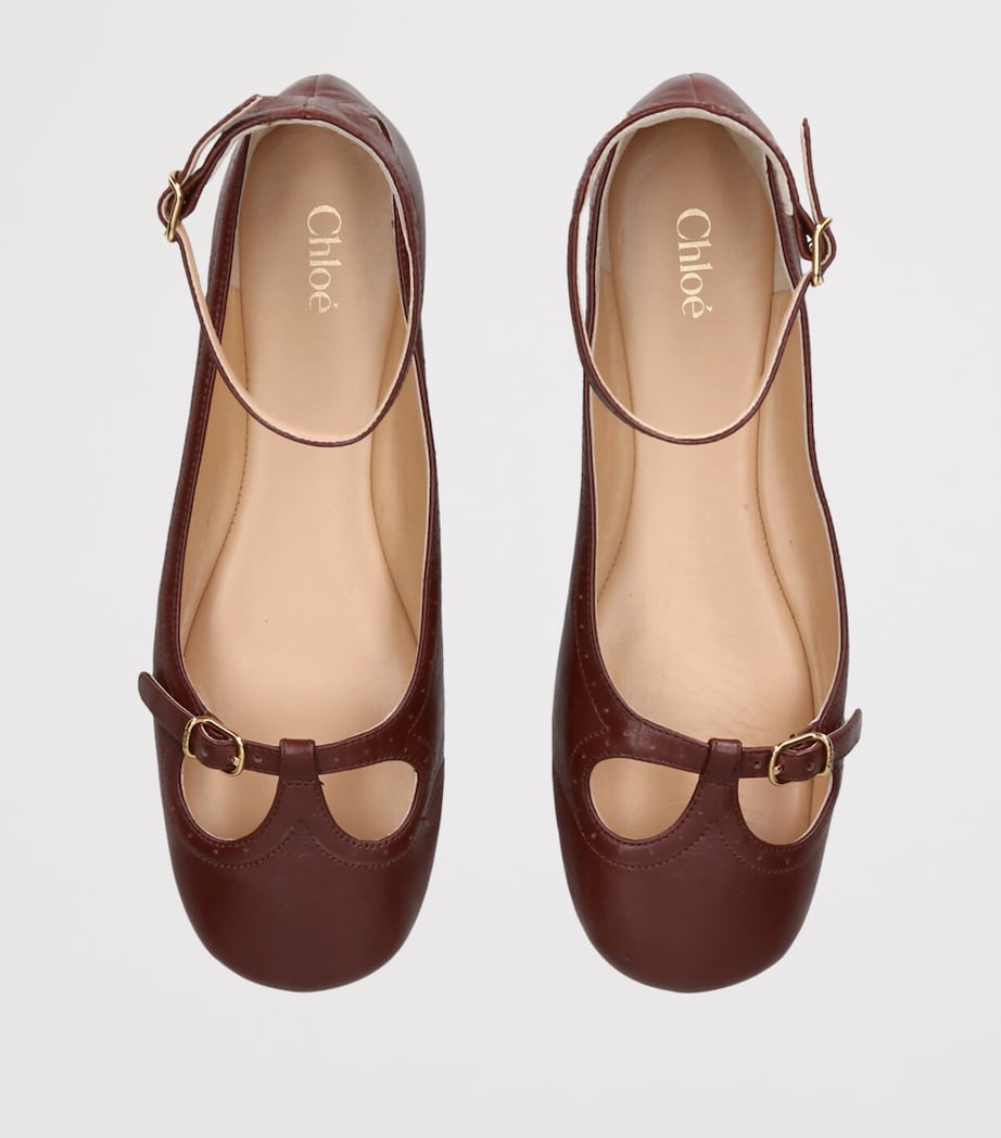 Brown Leather Misty Ballet Flats