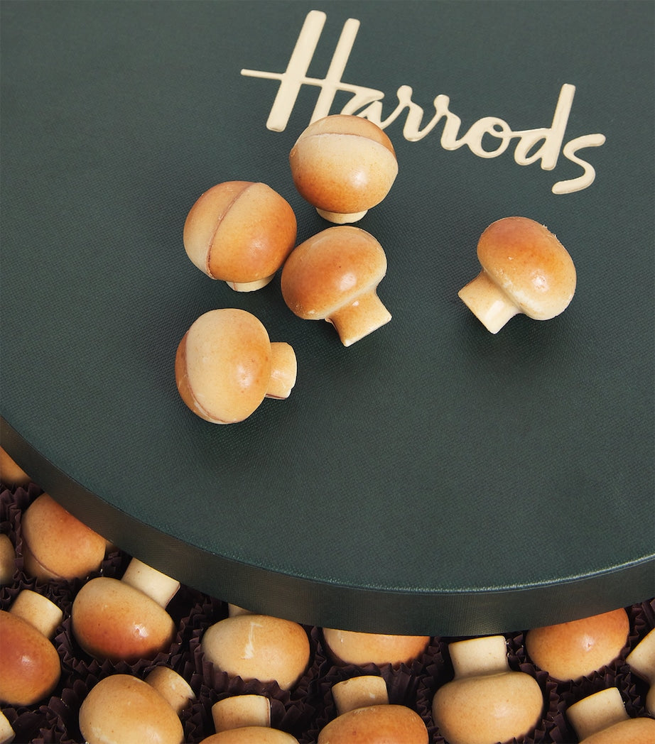 Belgian Supreme Chocolate Selection (1kg)