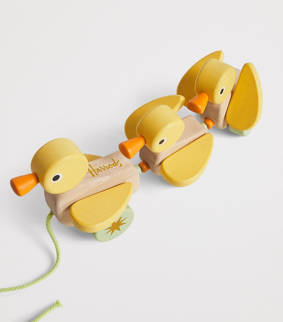Duckling Pull-Along Toy