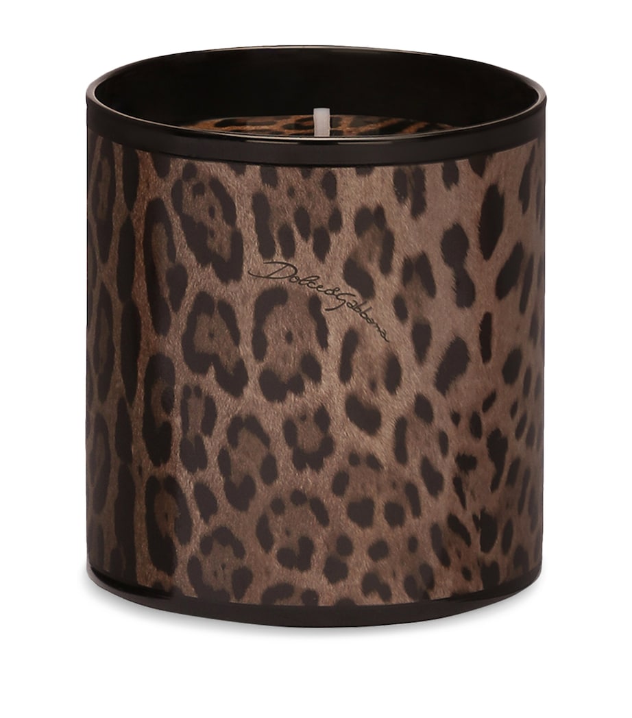 Dolce & Gabbana Casa Leopardo Patchouli Candle (380g)