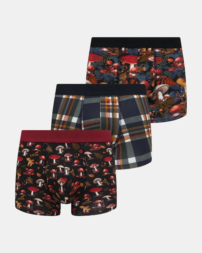 Medicine Boxer (3'lü)