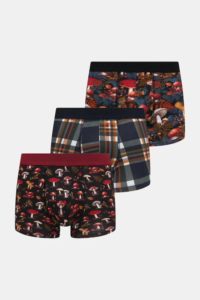 Medicine Boxer (3'lü)