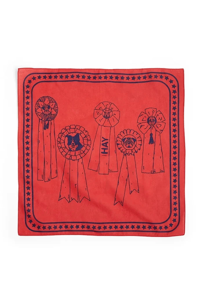 HAY Köpek Fuları 55 x 55 cm