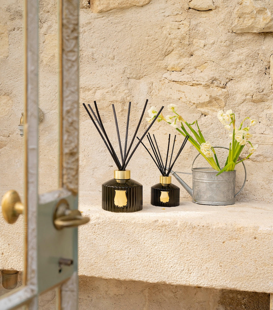 Ernesto Great Diffuser (1L)