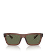 Ray-Ban Brown Acetate 0RB4396 Sunglasses