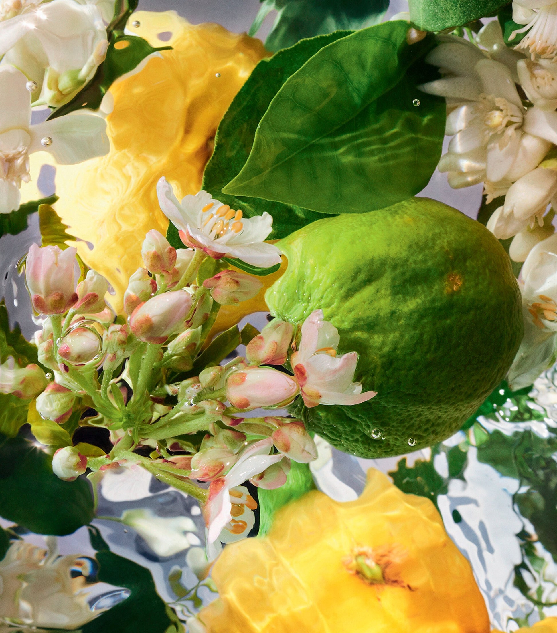 Guerlain Aqua Allegoria Shower Gel (200ml)