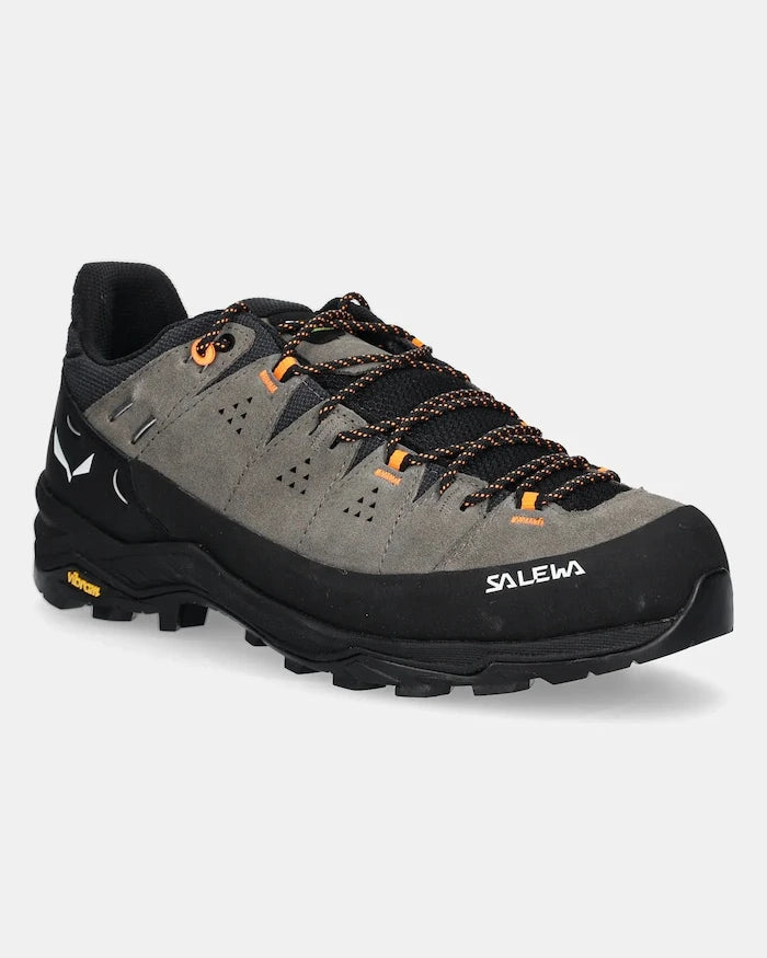Salewa Alp Trainer 2