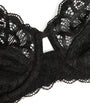 Black Lace Raffine Bra