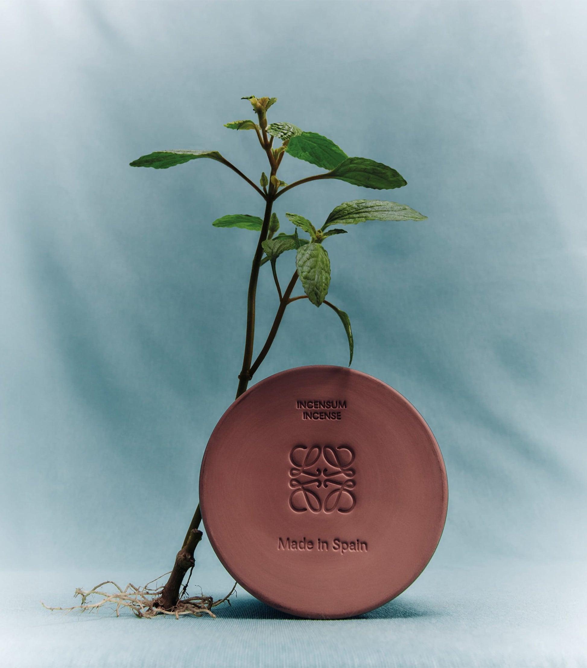 LOEWE Medium Incense Scented Candle