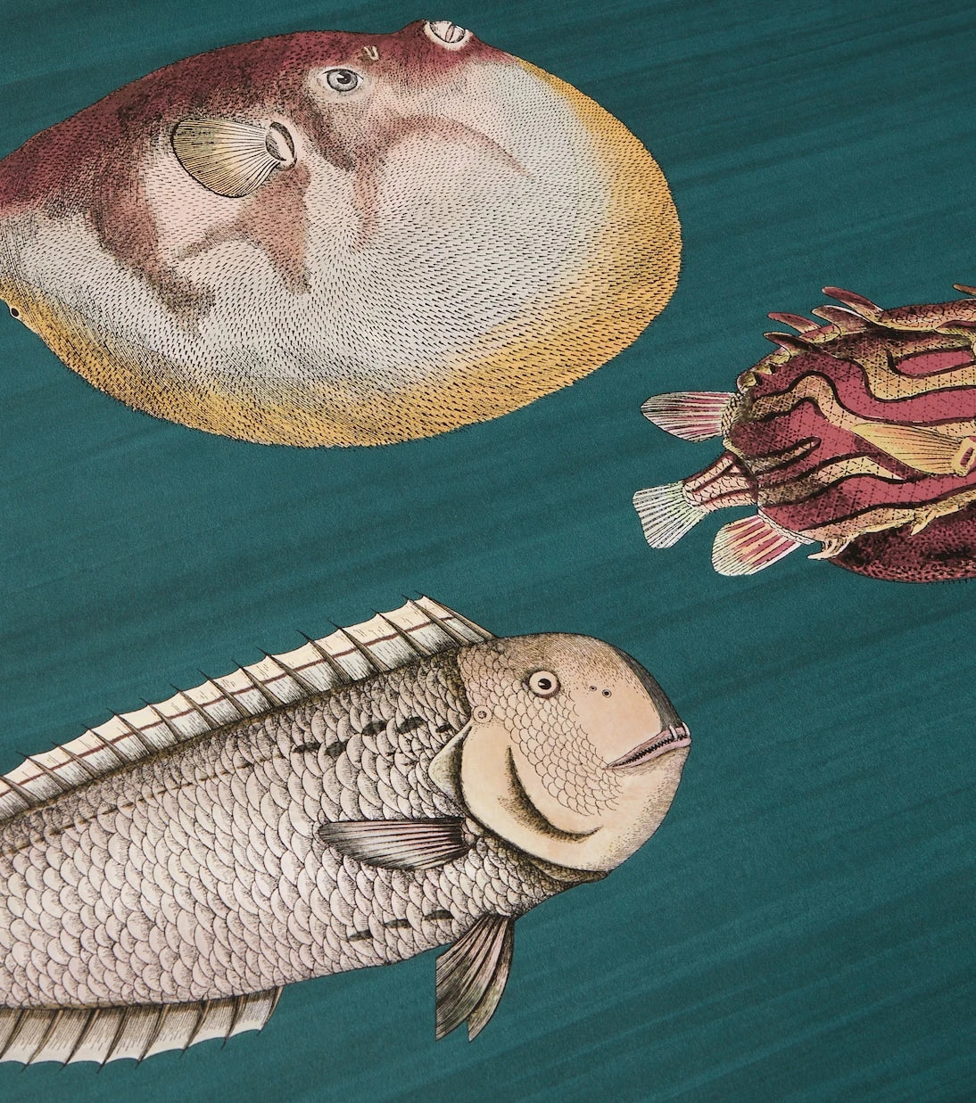 Fornasetti - x Cole & Son Acquario printed wallpaper